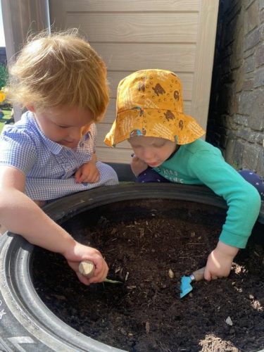 Planting herbs