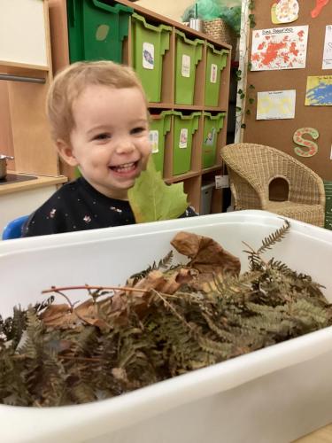 Autumn tray at Gower Day Nursery