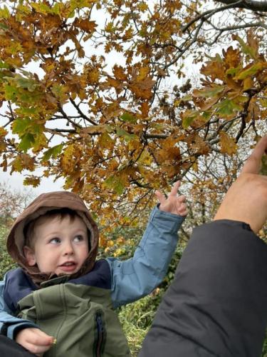 Exploring nature at Gower Day Nursery